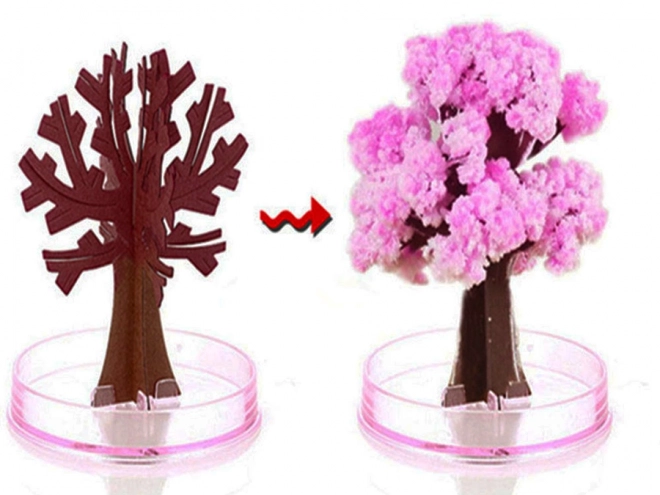 Čarobno stablo Sakura