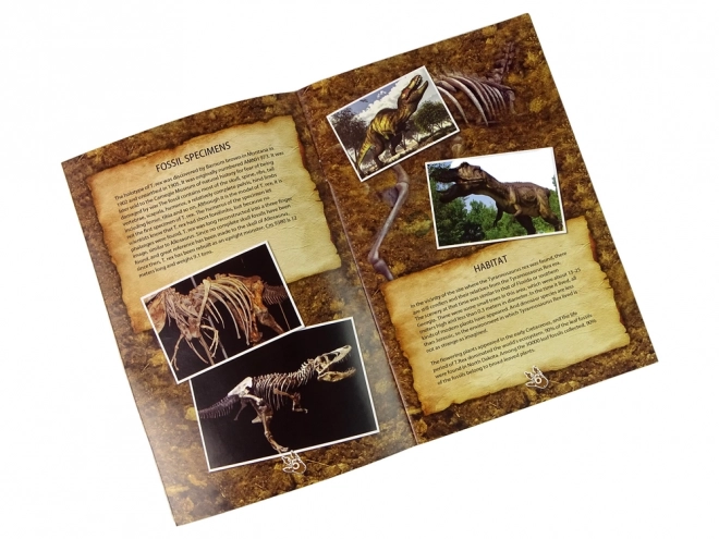 Edukativni set iskapanje DINOSAURUS TYRANOSAURUS