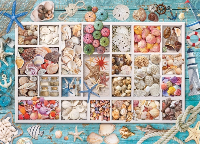 Puzzle EUROGRAPHICS Laurina zbirka školjki – 1000 dijelova