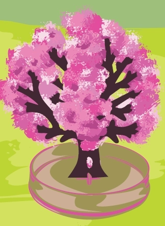 ARTO Čarobna sakura