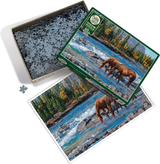Puzzle Skalnati brod od Cobble Hill - 1000 dijelova