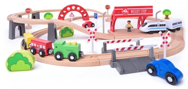 Woody željeznička pruga s električnim vlakom