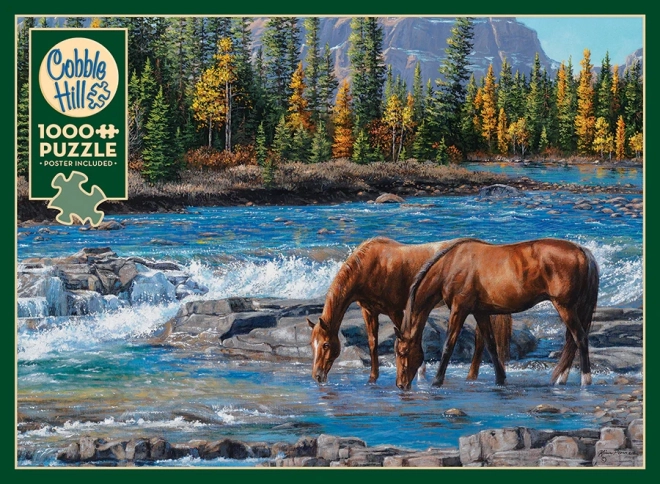 Puzzle Skalnati brod od Cobble Hill - 1000 dijelova