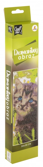 Dijamantno slikanje 30x30 cm