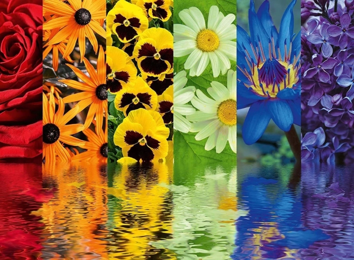 Ravensburger Puzzle Cvjetni uzorci 500 dijelova