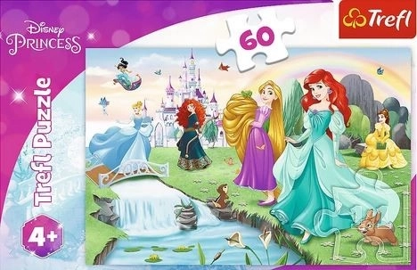 Puzzle Upoznajte princeze 33x22cm 60 dijelova u kutiji 21x14x4cm