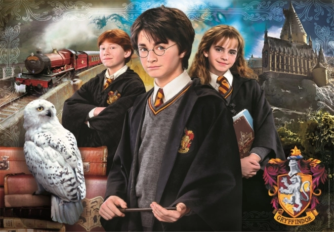Slagalica od 1000 dijelova Harry Potter od Clementoni