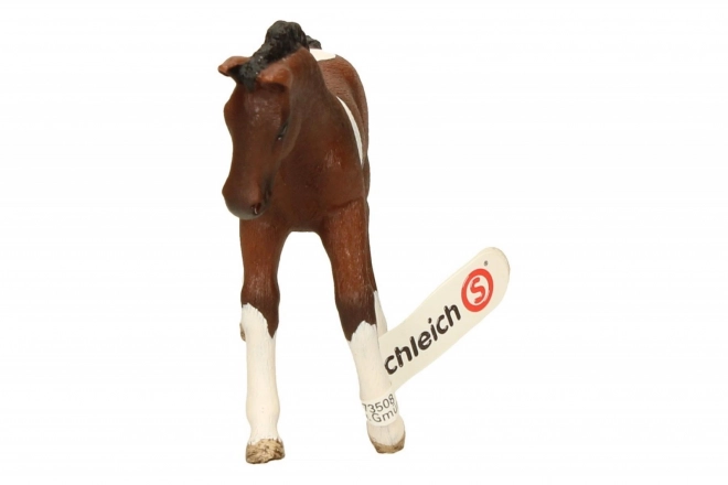 SCHLEICH Horse Club® 13758 Trakehner Konj - ždrebač