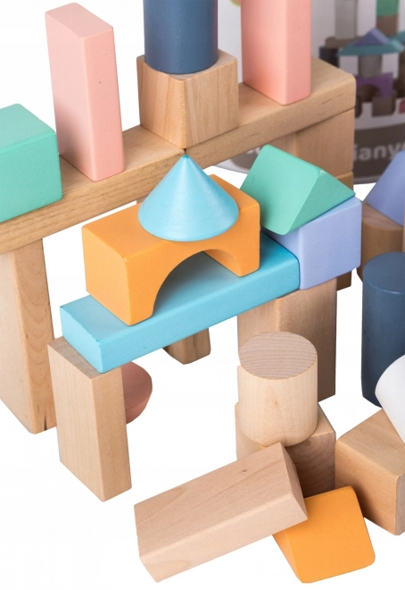Drvene kocke 100 kom u kanti sa sorterom Ecotoys
