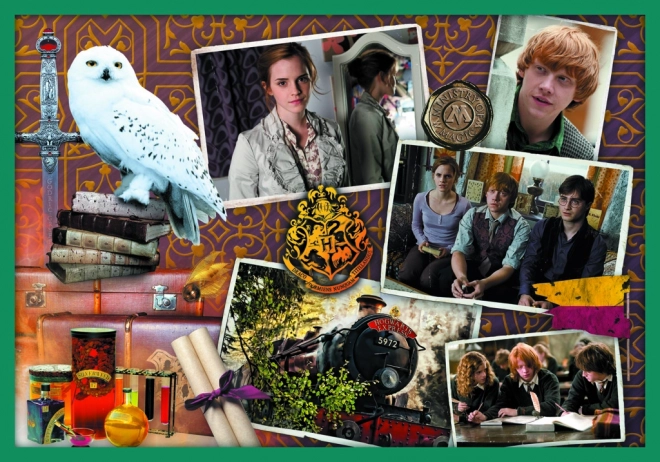 Puzzle Harry Potter - U svijetu Harryja Pottera 10u1