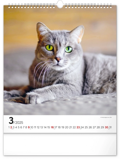Zidni kalendar Mačke 2025, 30 × 34 cm