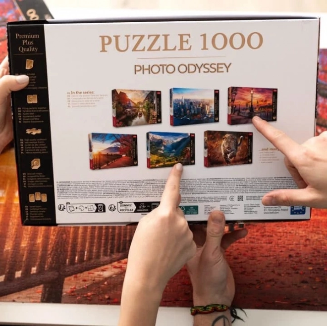 TREFL Puzzle Premium Plus Photo Odyssey: Dvorac Neuschwanstein 1000 dijelova