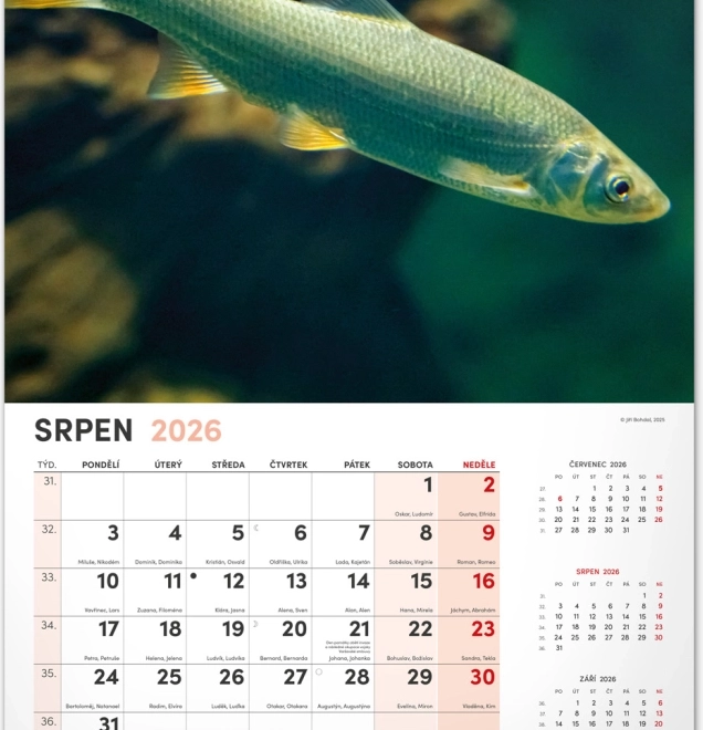 Zidni kalendar Ribički 2026