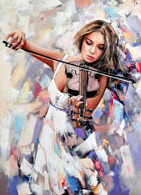 Norimpex dijamantno slikanje violinistkinja 30x40 cm