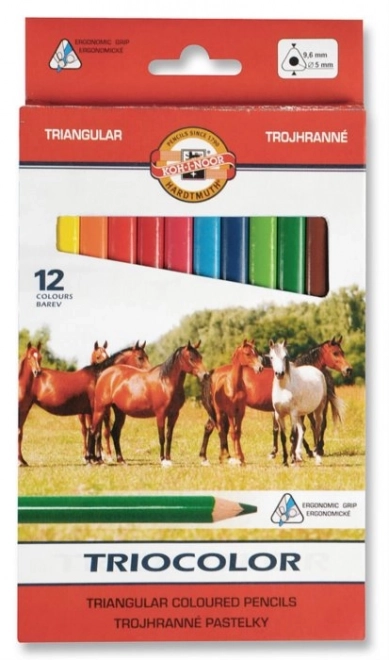 KOH-I-NOOR Trokutaste pastele Triocolor 12 kom