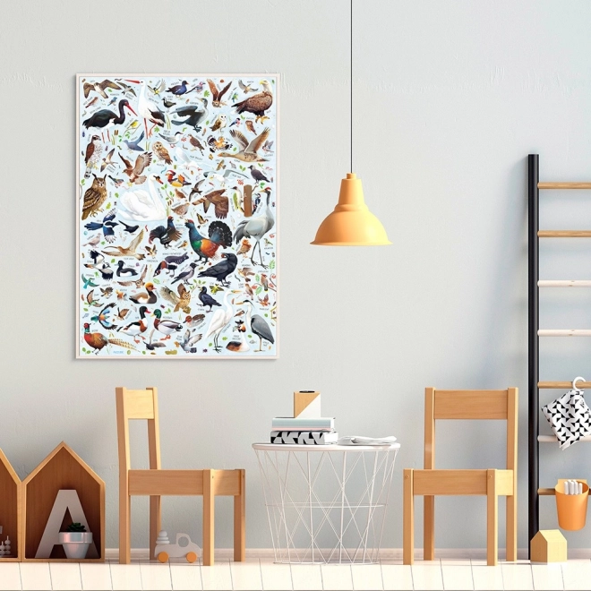 Puzzle Puzzlove Ptice 200 dijelova