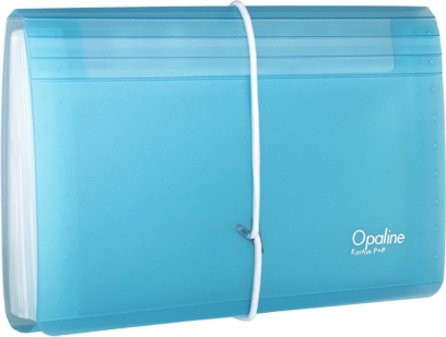 Organizator za dokumente s gumicom DL Opaline prozirno-plavi