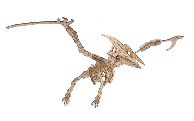Woodcraft Drvene 3D puzzle Pterosaur
