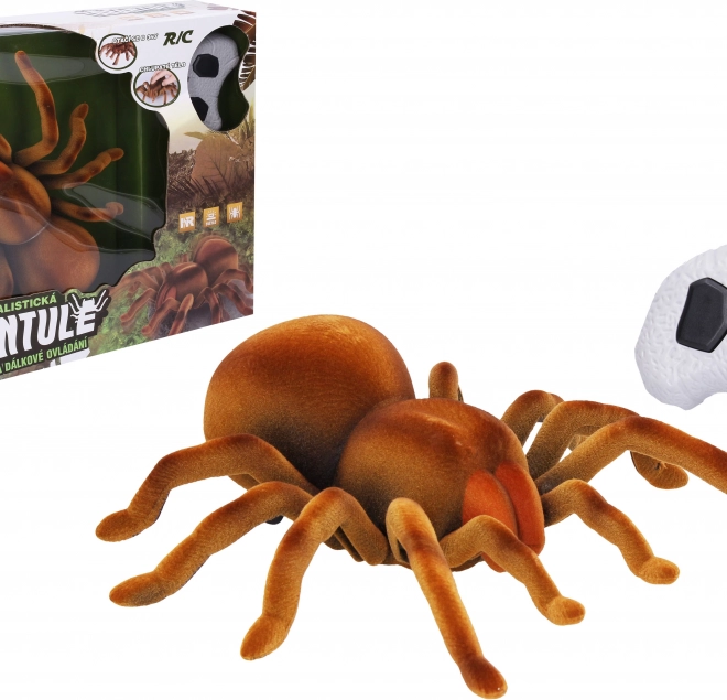 Tarantula na daljinsko upravljanje 24 cm