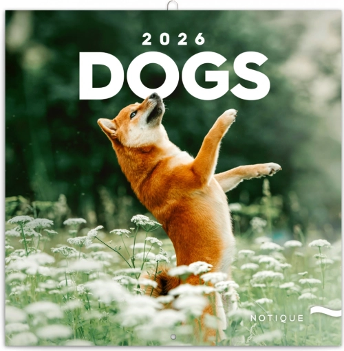 Zabilješki kalendar Psi 2026