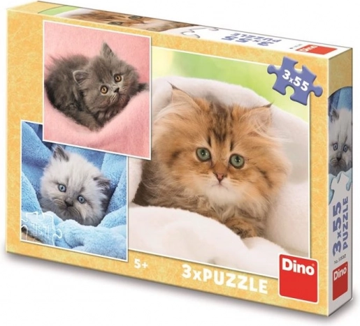Dječje puzzle slatka mačića 3×55 dijelova