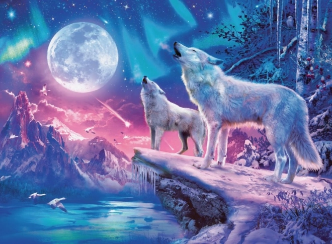 Ravensburger puzzle polarno svjetlo 1000 dijelova