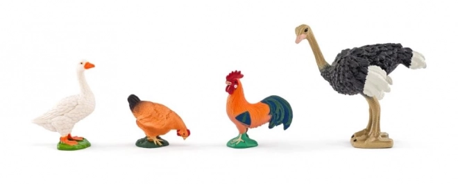 Faunica Farma s kućnim životinjama