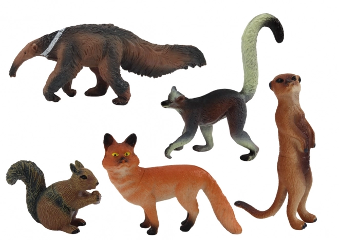 Figurice Životinja 5 kom: Vjeverica, Surikata, Mravojed, Lisica, Lemur