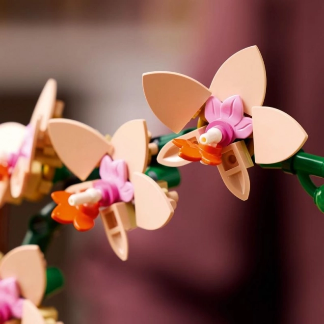 Lego Botanicals Mala Orhideja