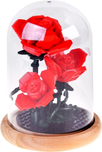 Stabilna kupola s drvenim postoljem