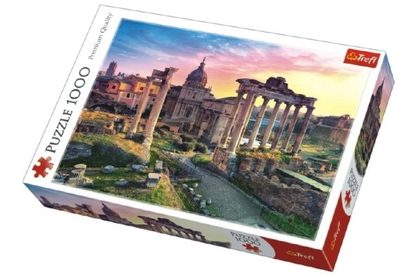Puzzle Rim 1000 dijelova u kutiji 40x27x6cm