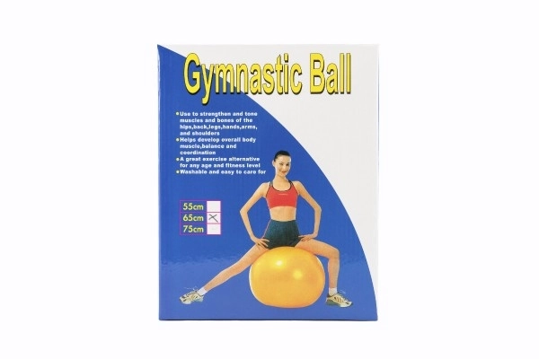 Gimnastička lopta 65cm rehabilitacijska relaksacijska u kutiji 16x22cm