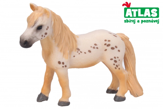C - Figura Poni
