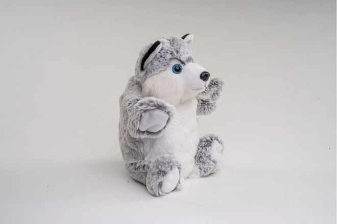 Plišana Pas Husky lutka 25 cm
