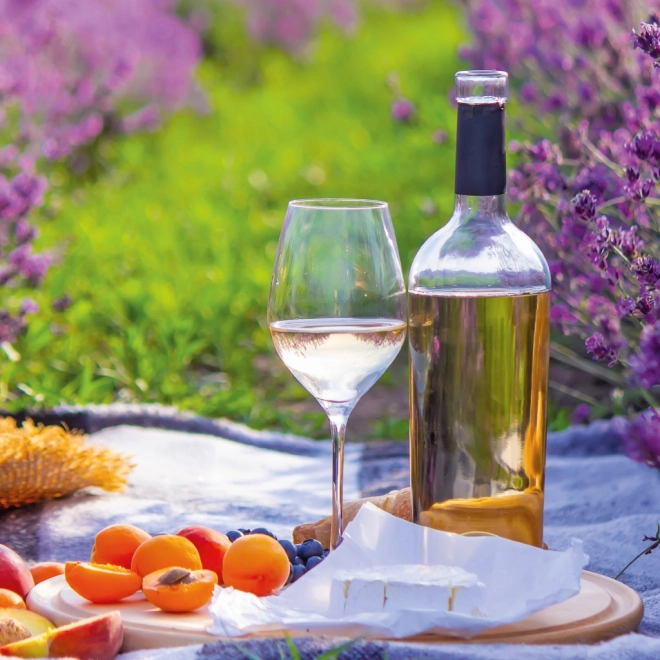 Žabica Kalendar Provence 2026