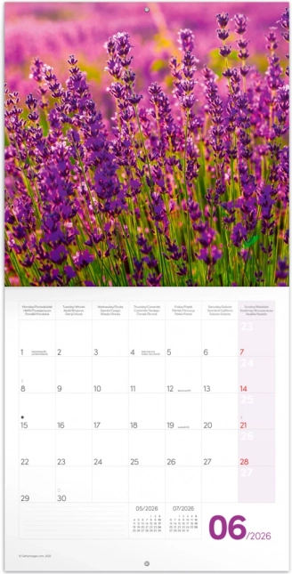 Žabica Kalendar Provence 2026
