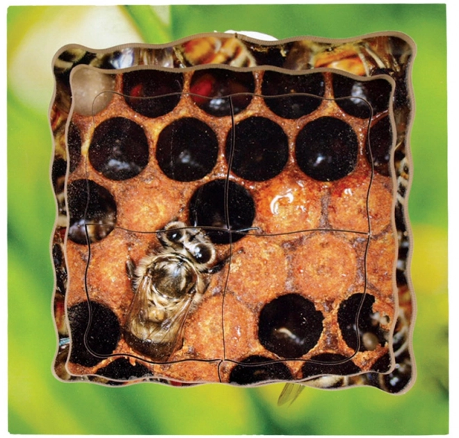 Just Jigsaws 600 Pčela – drvene složive puzzle