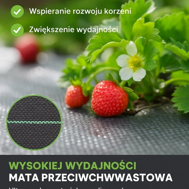 Agrotkanina crna 100 cm x 50m UV 70g protiv korova
