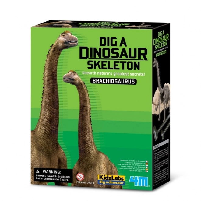 Znanstveni set za iskopavanja - Brachiosaurus