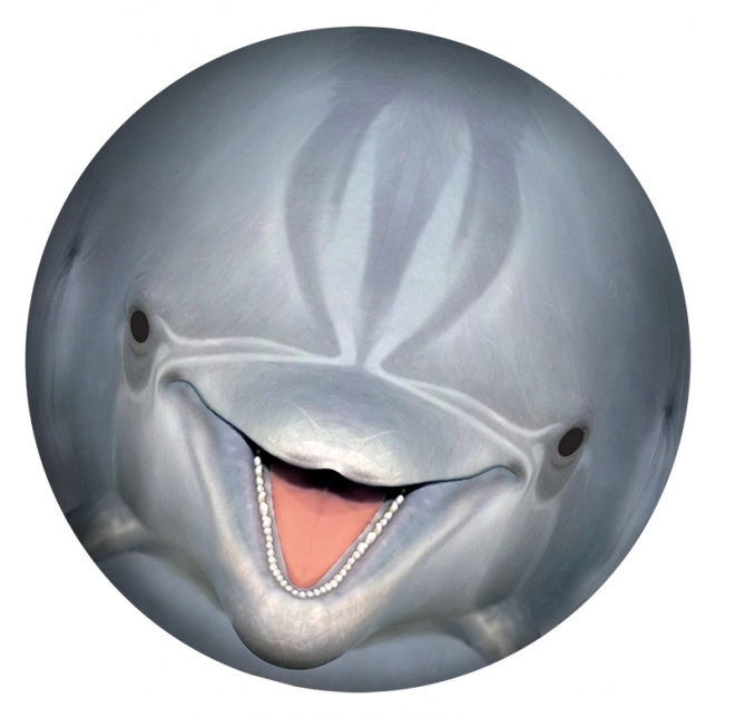 SPORTO Podvodna lopta - delfin