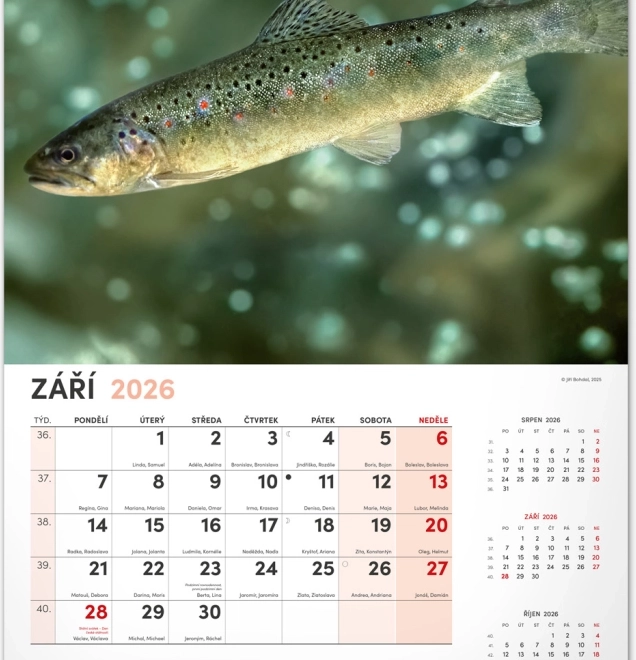 Zidni kalendar Ribički 2026
