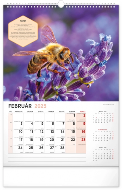 NOTIQUE Zidni Pčelarski kalendar 2025, 33 x 46 cm