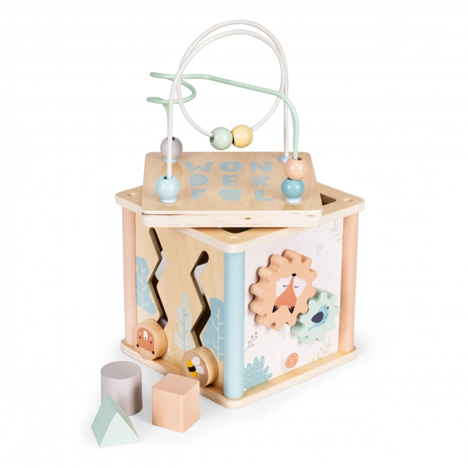 Drvene obrazovne kocke Ecotoys