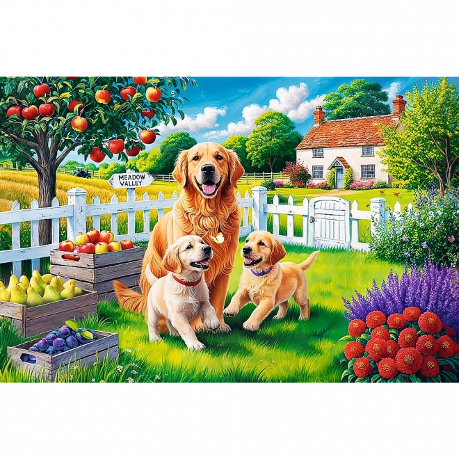 Puzzle - 300 dijelova - Psi na selu Trefl