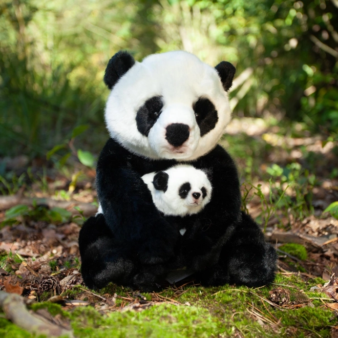 Rappa plišana panda s mladunčetom 27 cm EKO-PRIJATELJSKI