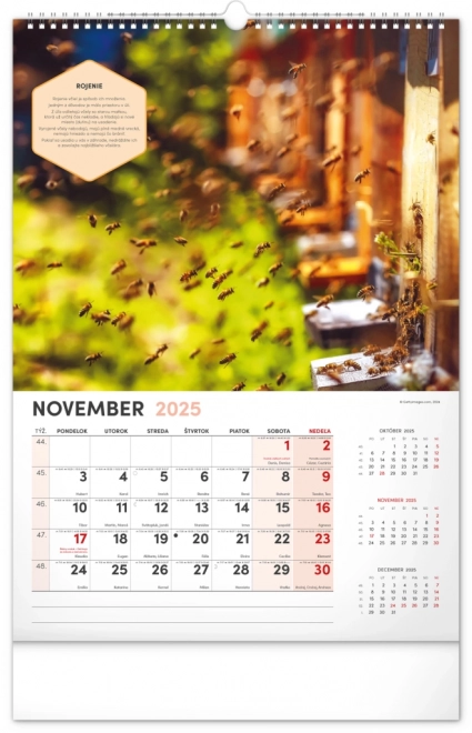 NOTIQUE Zidni Pčelarski kalendar 2025, 33 x 46 cm