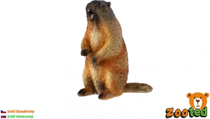 Svisč žutotrbi – realistična plastična figurica 8 cm