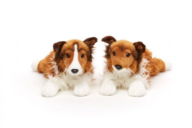 Plišani pas Sheltie 37 cm