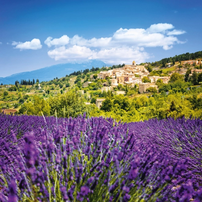 Kalendarska bilježnica Provence 2026