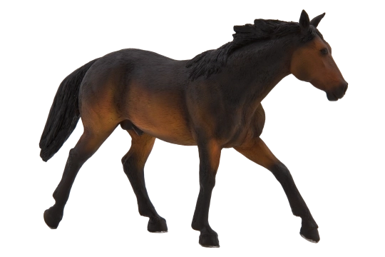 Mojo figurica quarter horse vrani, ekstra velika